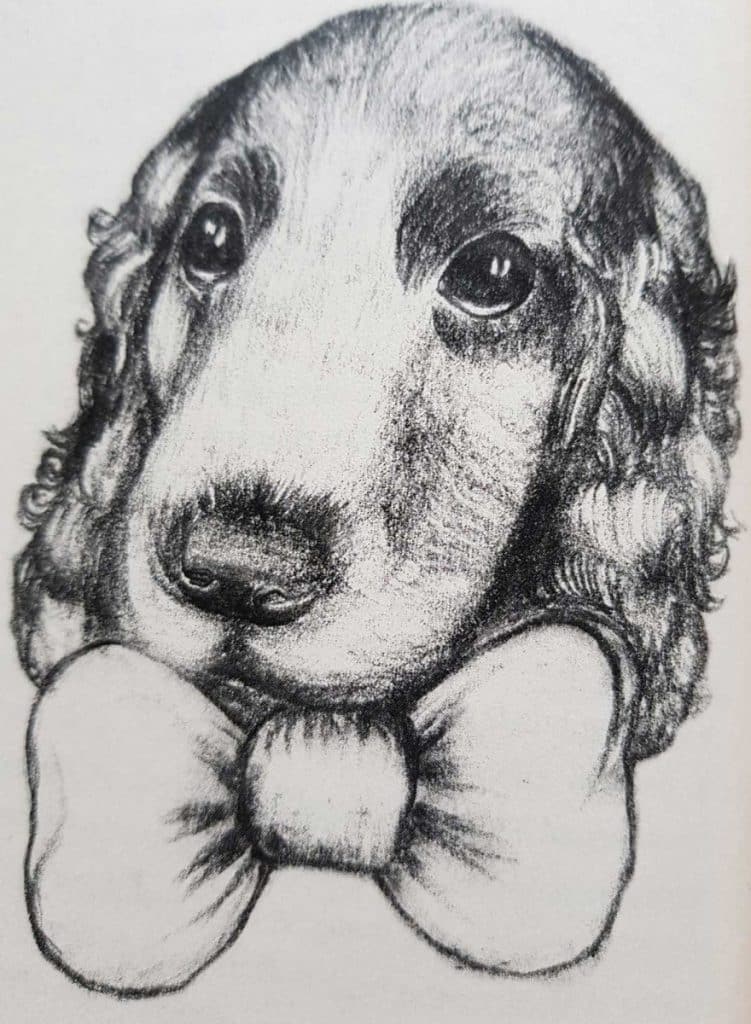 Copilaria fermecata - Ioana Trif