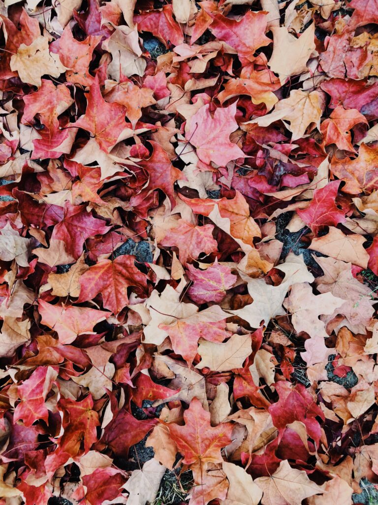 aaron burden gt gTew mEU unsplash scaled