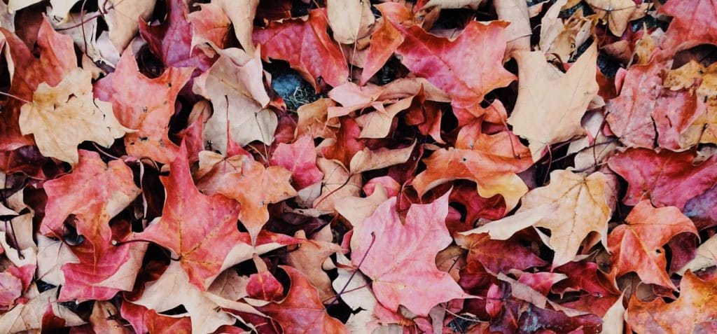 cropped aaron burden gt gTew mEU unsplash scaled 1