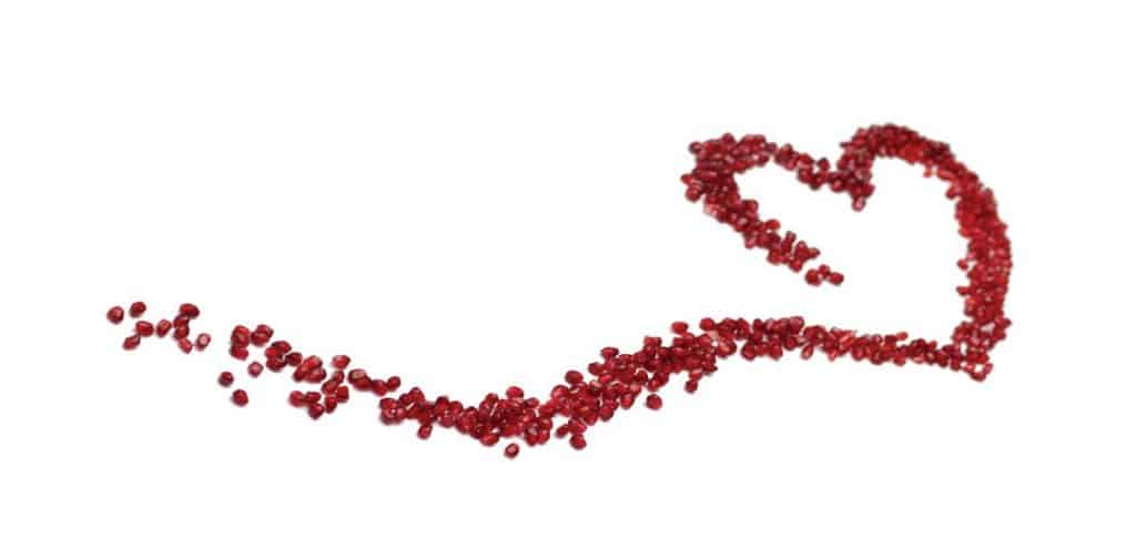 905726 1021867071179802 8604008270645069154 o