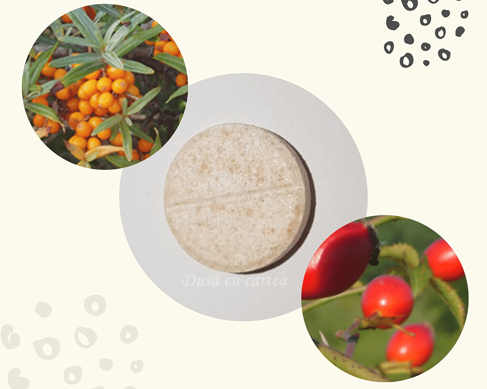 Fares - ajutor din inima Daciei 6 Vitamina-C-cu--Macese-si-Catina---Dusa-cu-cartea