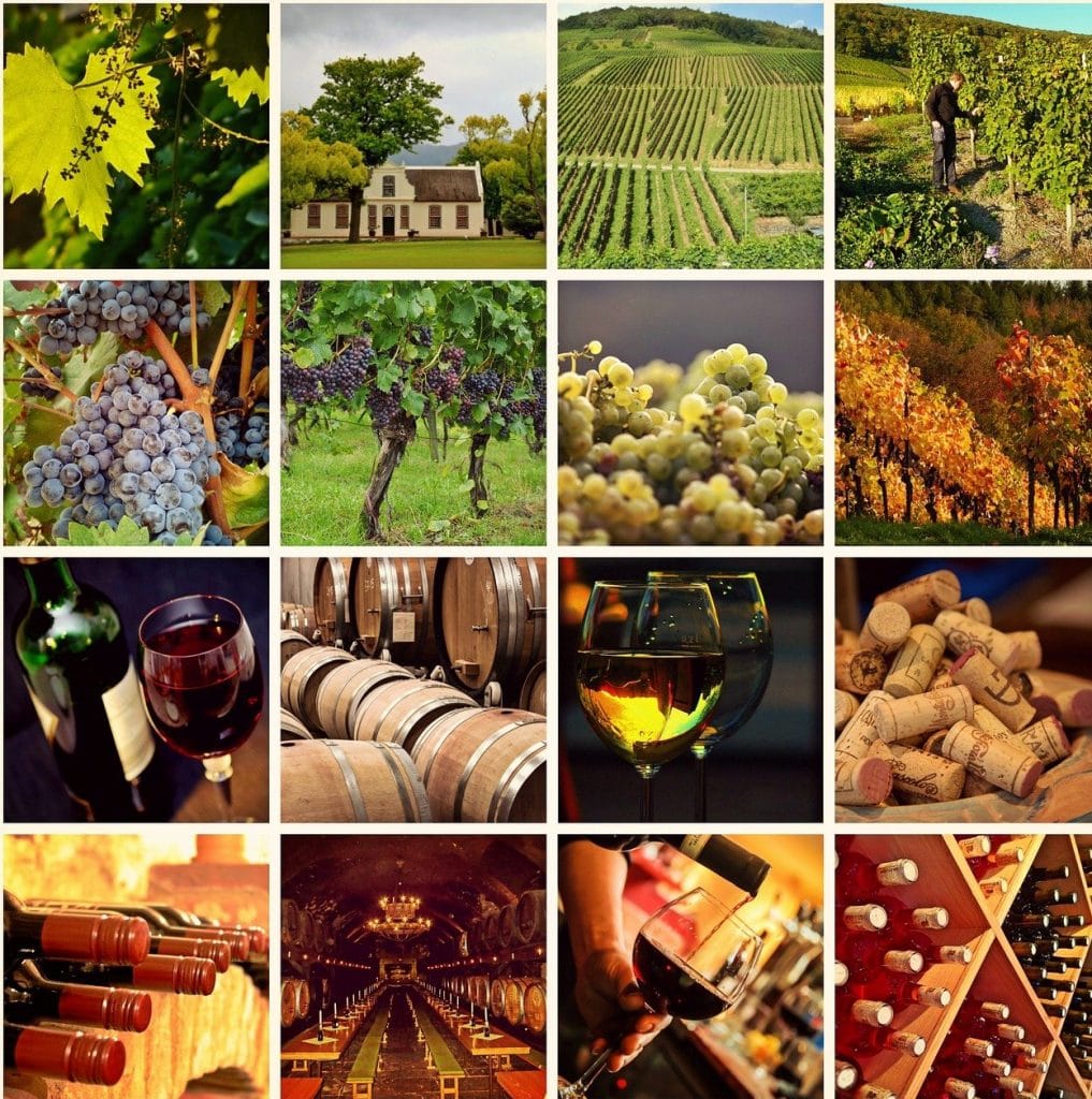 wine 1597376 1280 e1605685889712