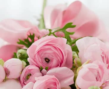 De ce iubesc femeile așa de mult florile