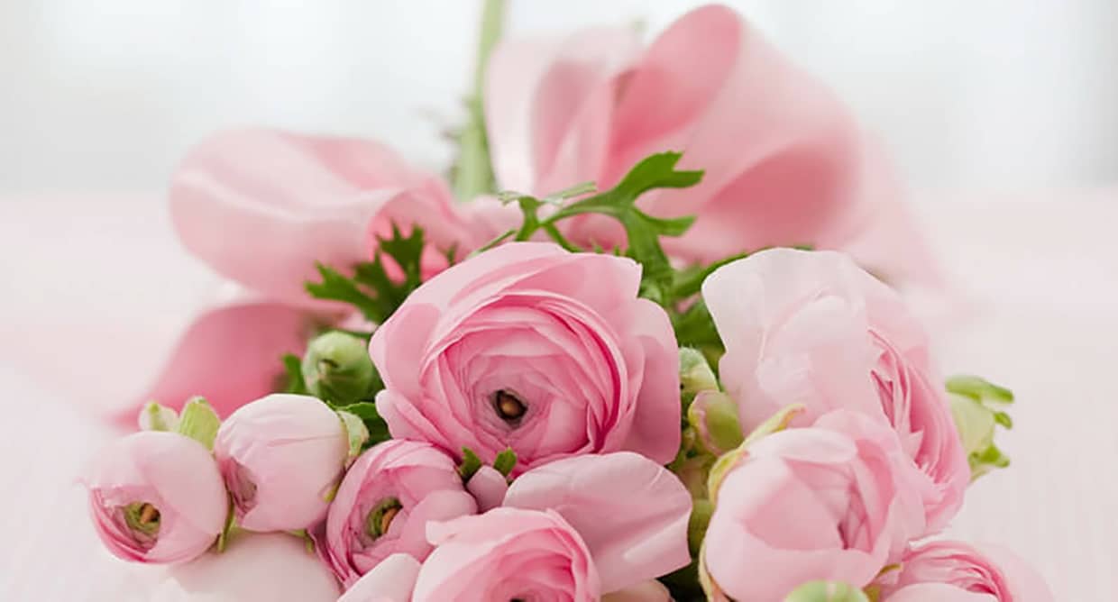 De ce iubesc femeile așa de mult florile